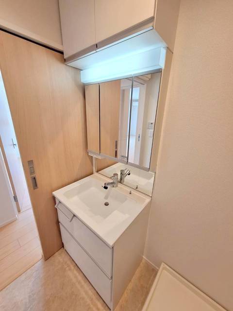 洗面設備　忙しい朝に嬉しいシャンプードレッサー