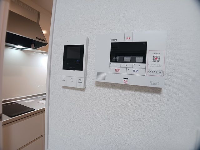 リッシュのその他写真