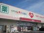 ドラックストア　くすりのレデイ 北島店（ドラッグストア）まで2714m