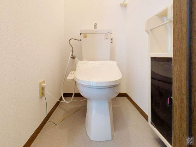 ドミール Aのトイレ写真