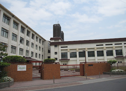 小学校　大阪市立大道南小学校（小学校）まで81m