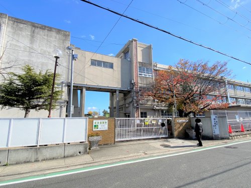 小学校　堺市立福泉小学校（小学校）まで523m
