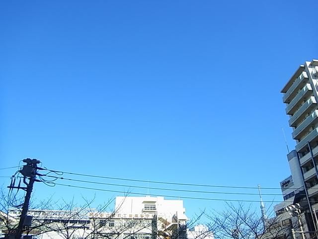 眺望　眺望（バルコニーより）