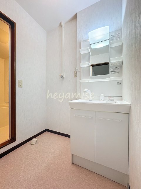 洗面設備　写真は別号室
