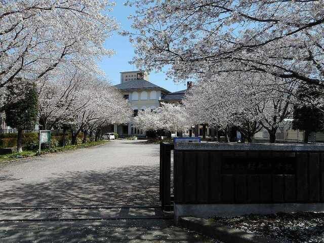 中学校　桜木中学校（中学校）まで240m