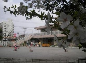幼稚園・保育園　板橋区役所 板橋区立高島平くるみ保育園（幼稚園・保育園）まで568m