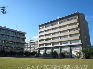 大学・短大　国立琉球大学（大学・短大）まで1076m