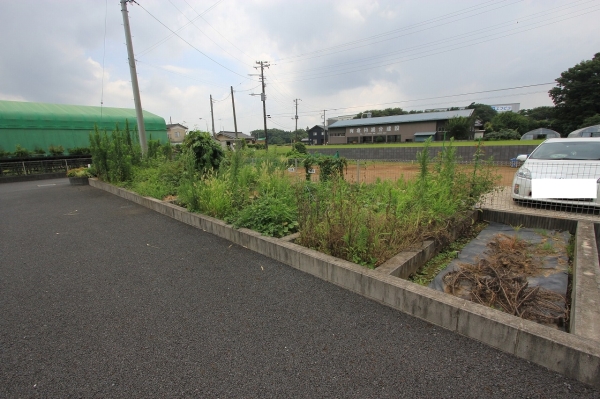庭　家庭菜園