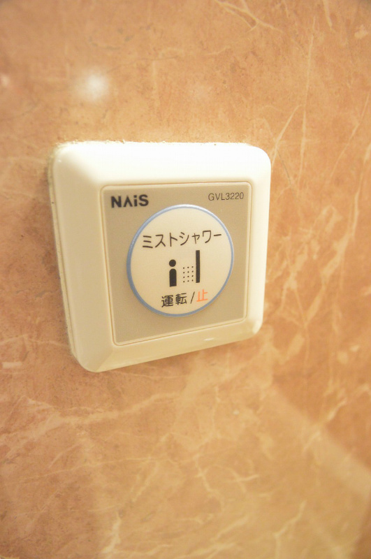 その他　ミスト