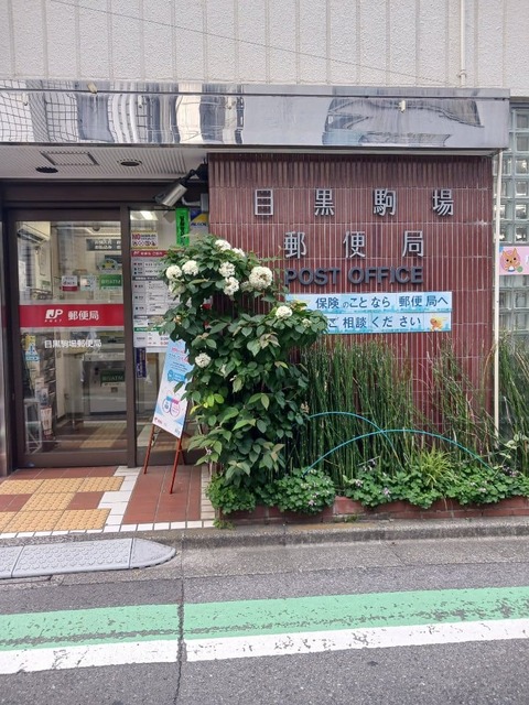 郵便局　目黒駒場郵便局（郵便局）まで290m