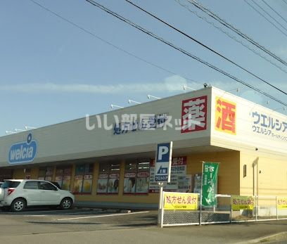 ドラックストア　ウエルシアひたちなか佐和店（ドラッグストア）まで352m