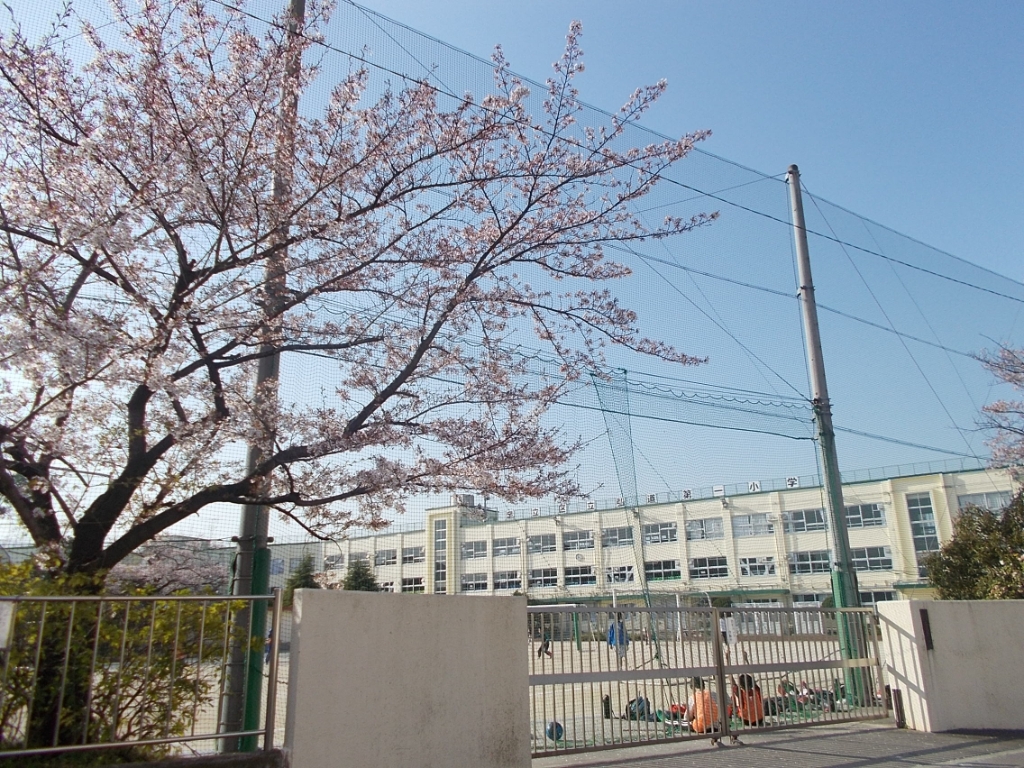 小学校　足立区立弘道第一小学校（小学校）まで560m