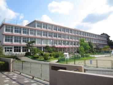 小学校　浜松市立富塚小学校（小学校）まで700m