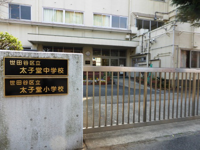 中学校　世田谷区立太子堂中学校（中学校）まで130m