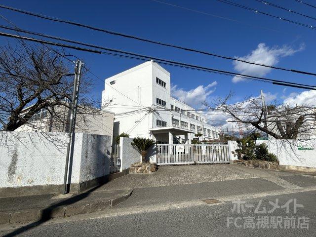 中学校　高槻市立五領中学校（中学校）まで1339m