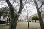 公園　富家町公園（公園）まで351m