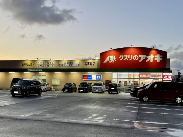 ドラックストア　クスリのアオキ北浅井店（ドラッグストア）まで1009m