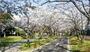 公園　仙台堀川公園（公園）まで678m