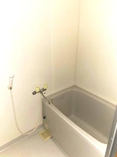 バス・シャワールーム　お風呂です