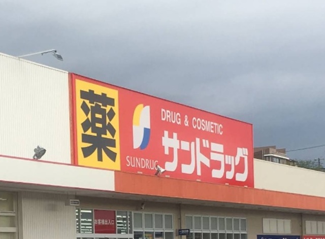 ドラックストア　サンドラッグ和泉観音寺店（ドラッグストア）まで909m