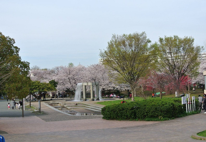 公園　南河原公園（公園）まで240m