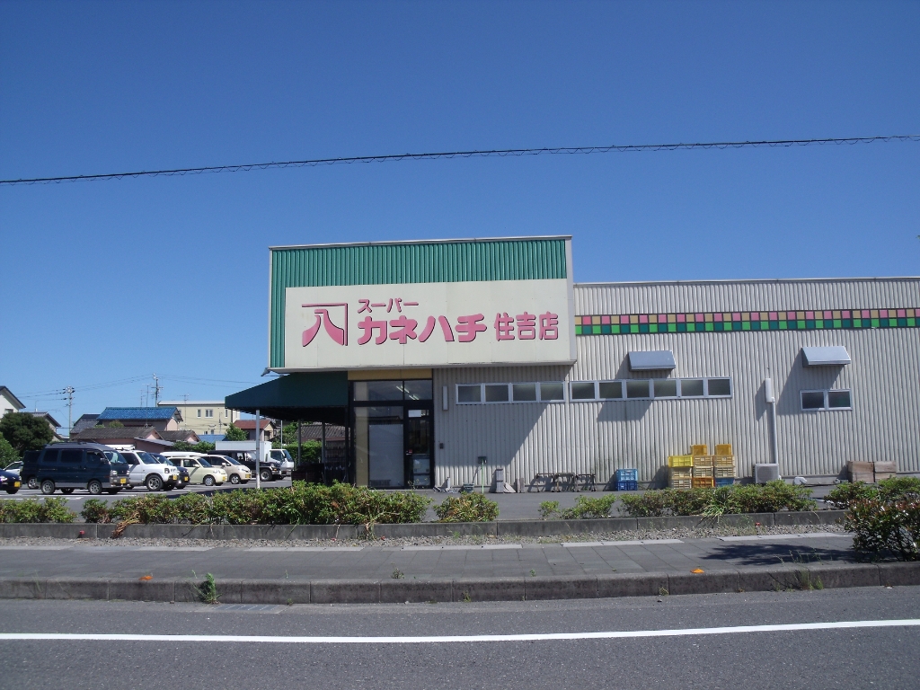 スーパー　スーパーカネハチ住吉店（スーパー）まで667m