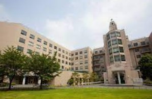 大学・短大　聖路加国際大学（大学・短大）まで243m