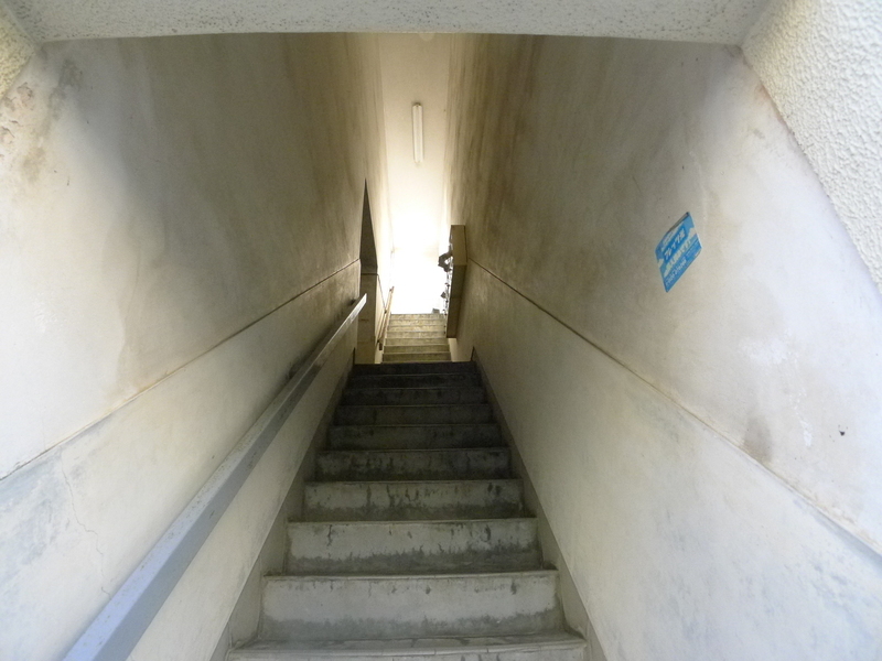 信川マンションのその他写真