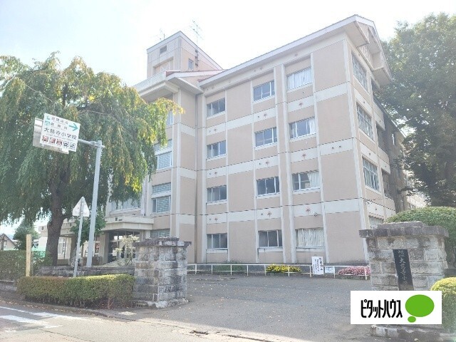 小学校　盛岡市立大慈寺小学校（小学校）まで697m