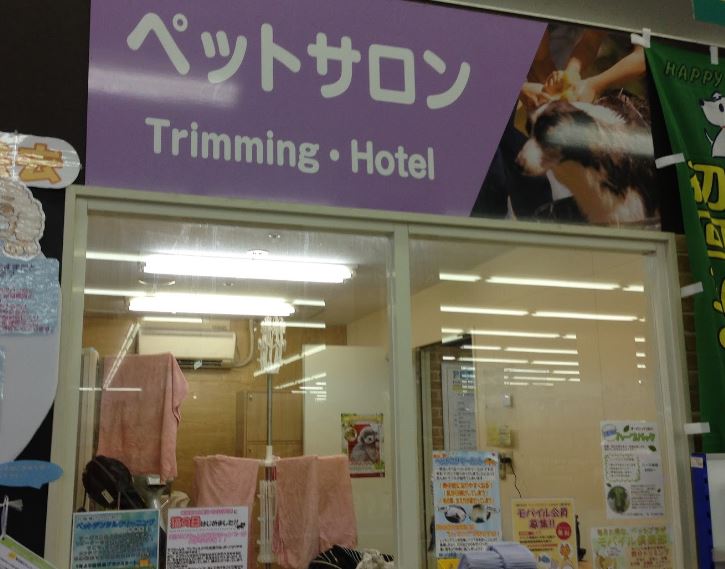 その他　ペットプラザ江東深川店（その他）まで901m
