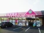 ドラックストア　金光薬品山崎店（ドラッグストア）まで378m
