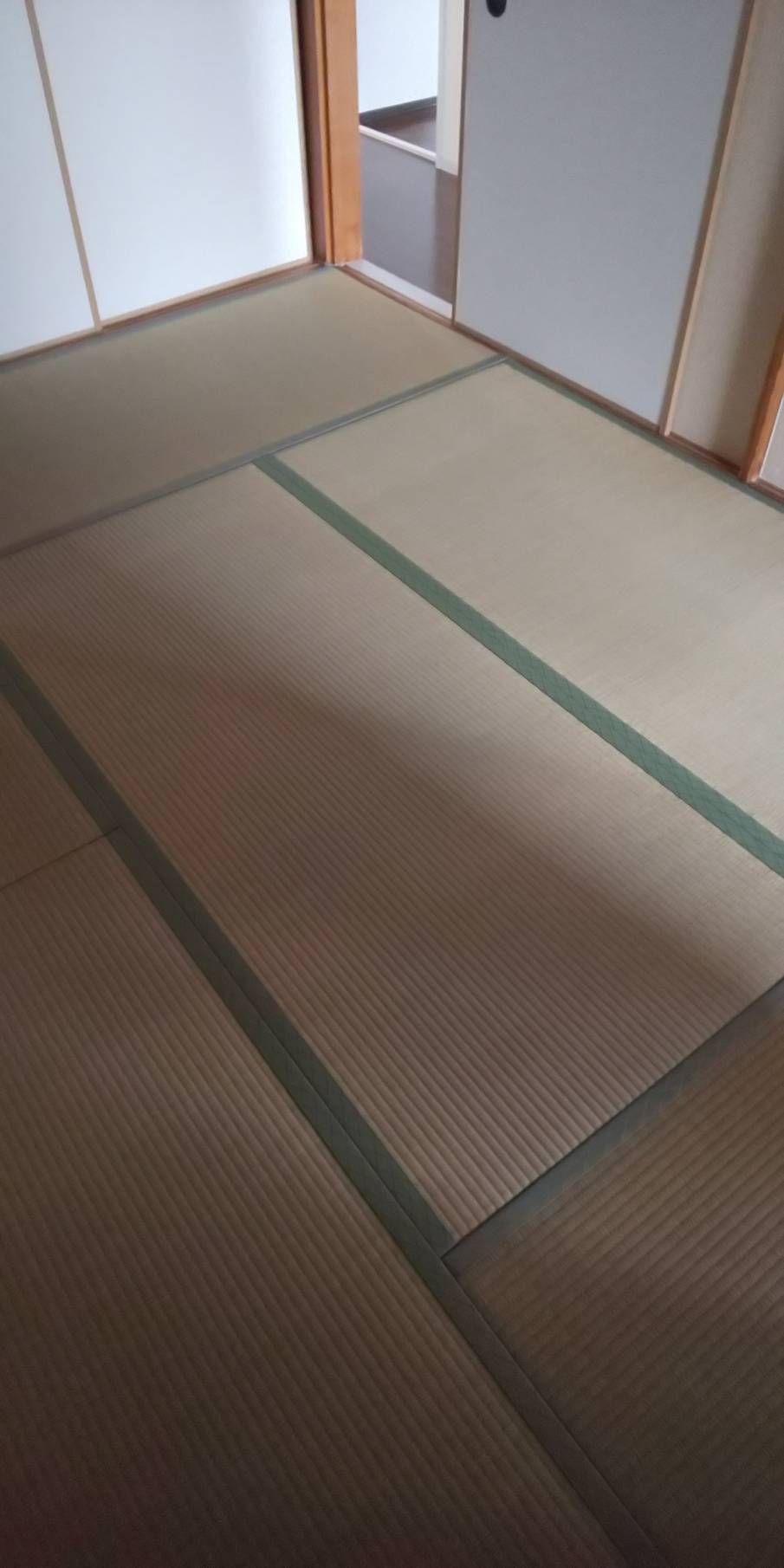 サングレールキャステージの居間写真