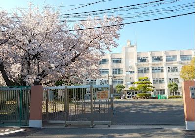 中学校　高槻市立第八中学校（中学校）まで905m