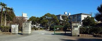 小学校　半田市立板山小学校（小学校）まで715m