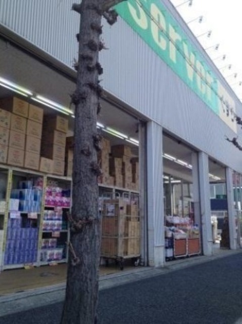 メゾン大和7号館の周辺写真