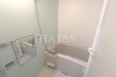 バス・シャワールーム　同物件別部屋です。