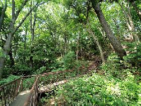 公園　上野毛自然公園（公園）まで152m