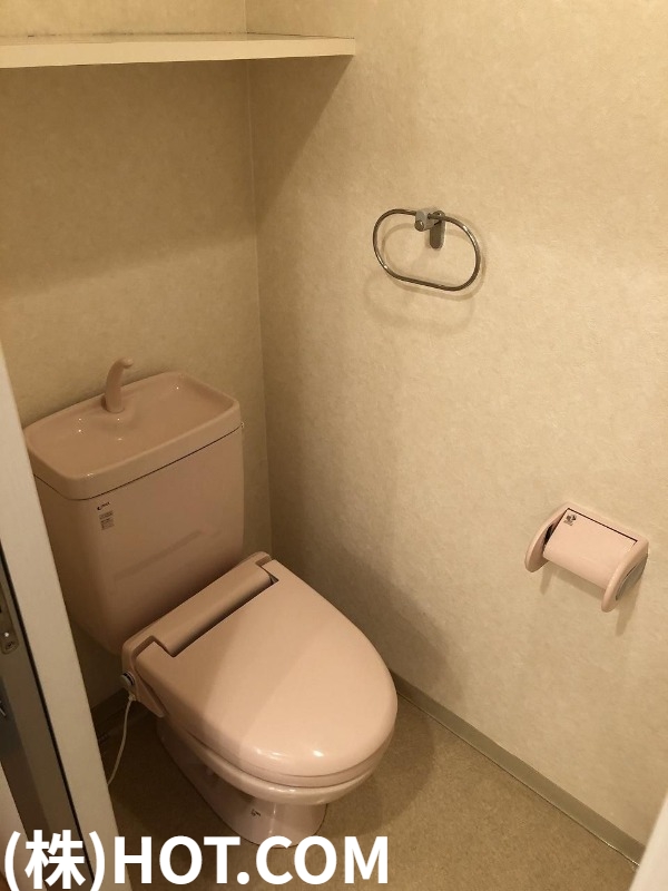 ＪＲ博多南線 博多駅 徒歩15分 13階建 築21年のトイレ写真