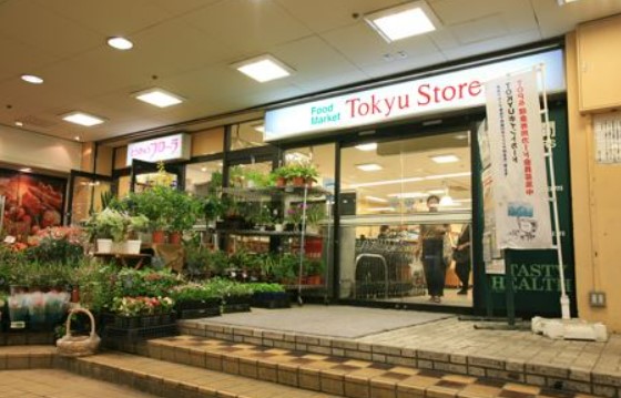 スーパー　菊名 東急ストア（スーパー）まで525m