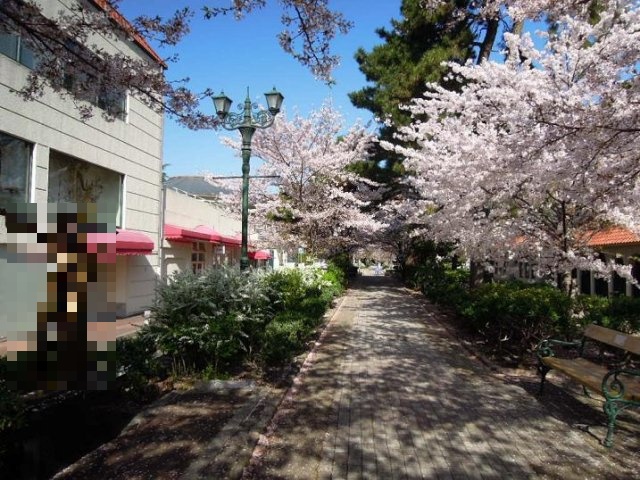 その他　花のみち（その他）まで600m