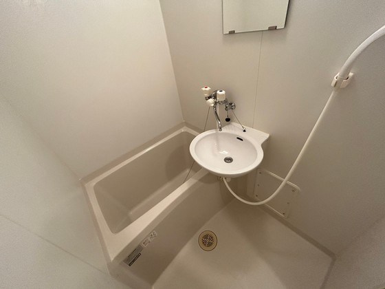 バス・シャワールーム　※別室の写真です