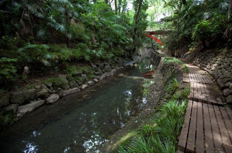 公園　等々力渓谷公園（公園）まで833m