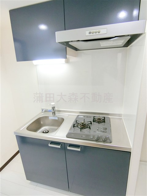 キッチン　2口ガスシステムキッチン