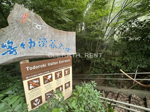 公園　等々力渓谷（公園）まで857m