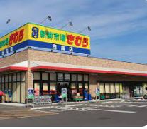 スーパー　新鮮市場きむら岡山大供店（スーパー）まで495m