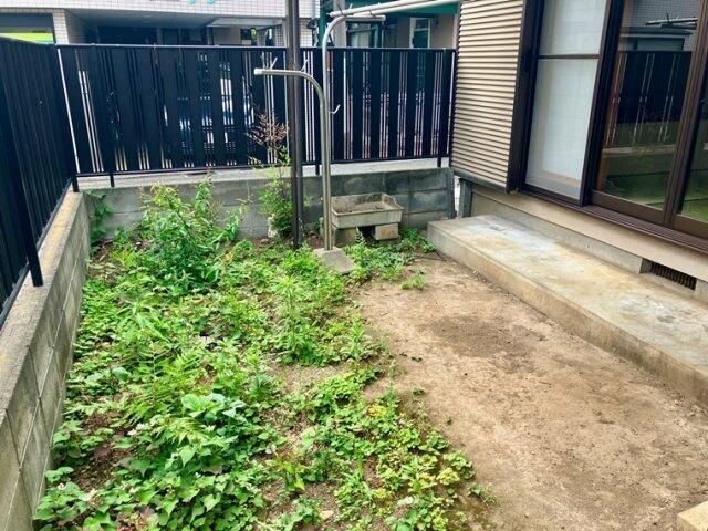 庭