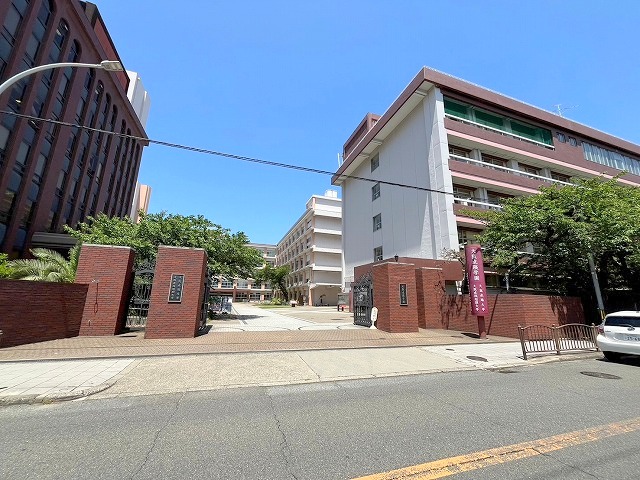 大学・短大　私立大阪成蹊大学相川キャンパス（大学・短大）まで861m