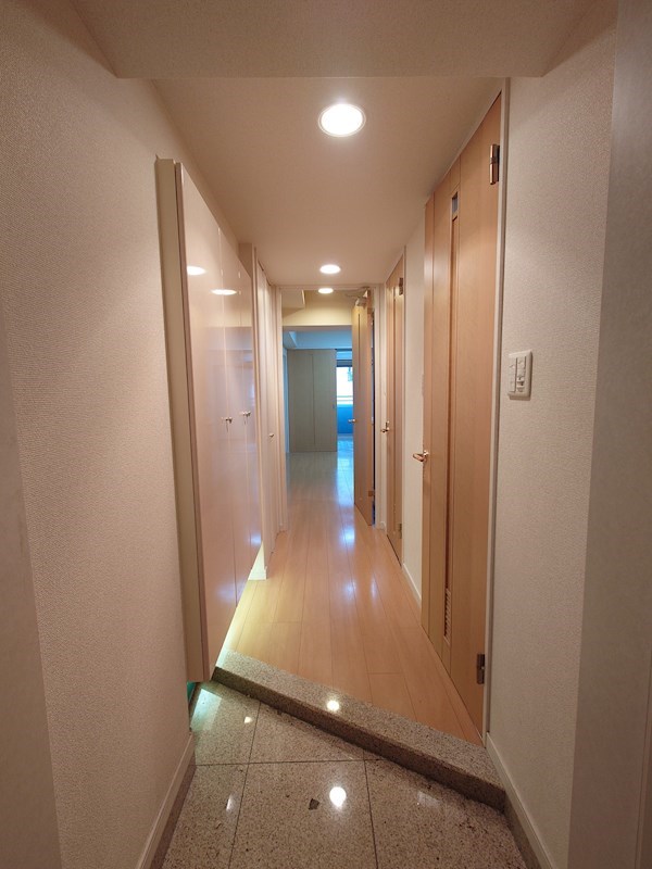 玄関　※清掃前の写真になります