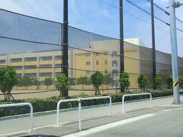 小学校　新潟市立鳥屋野小学校（小学校）まで1281m