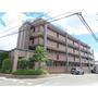ピア白水ヶ丘 3階 築25年9ヶ月の賃貸物件